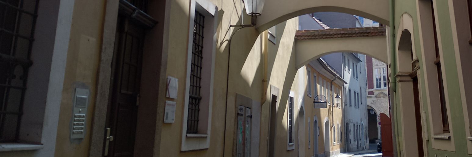 Miriam Socha's banner