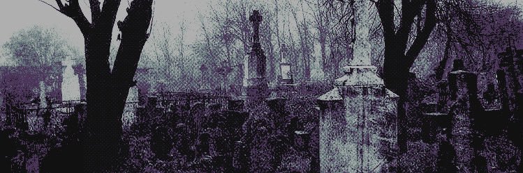 ‍ ‍ 𝓰𝗿𝗮𝘃𝗲𝘆𝗮𝗿𝗱 ‍ ‍ ◞ ‍ ‍ 𝒈𝒊𝒓𝒍 banner