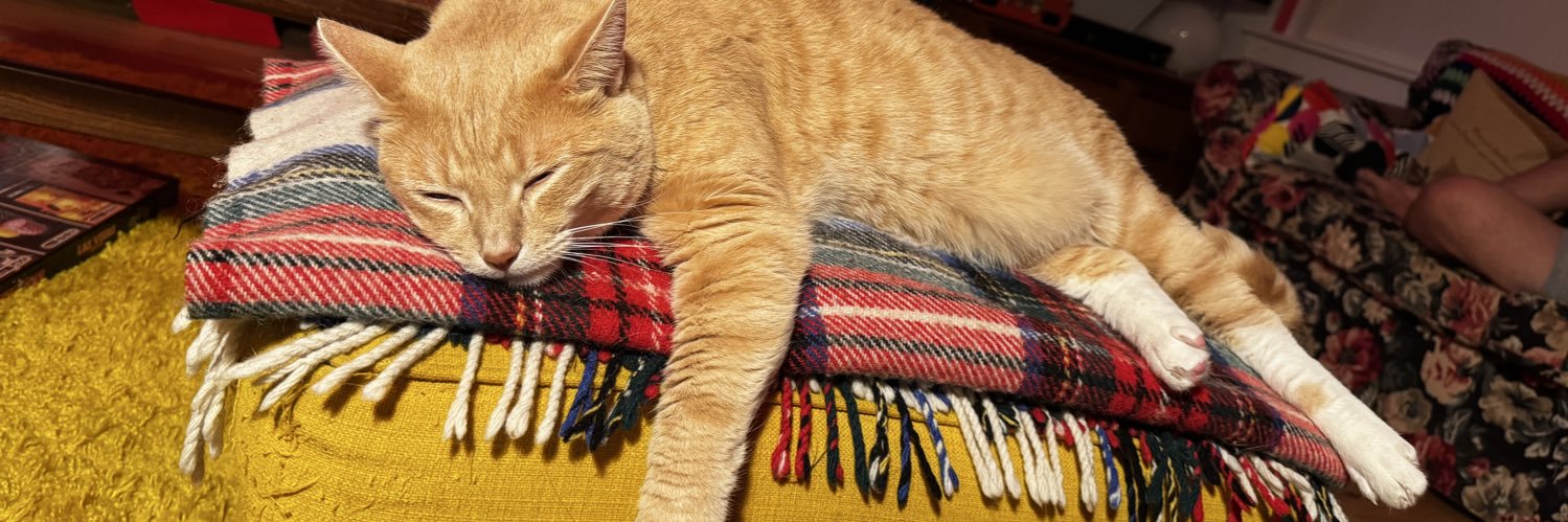 Merle's World banner