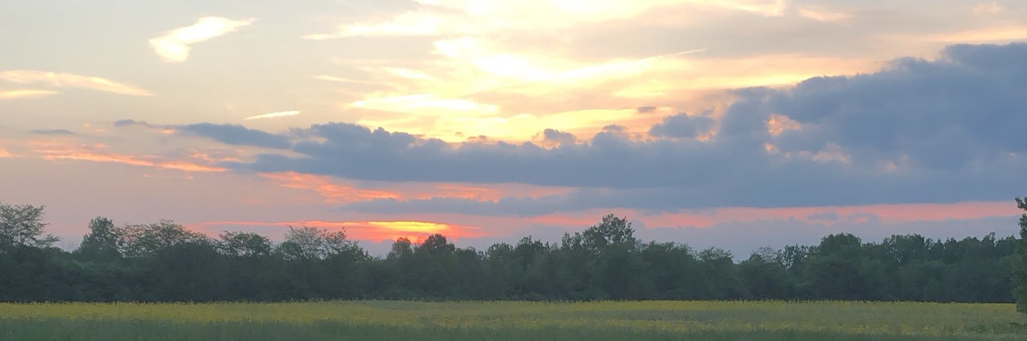 shelbydelay's profile banner image