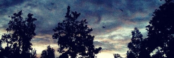 AnjumSultana Profile Banner