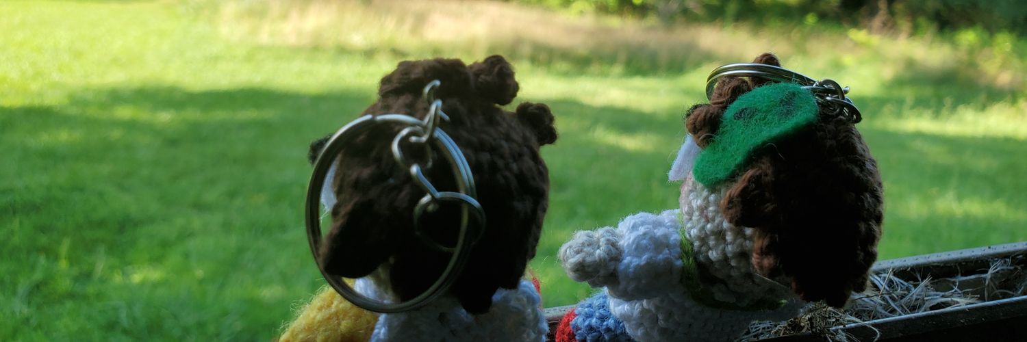 check pinned post banner