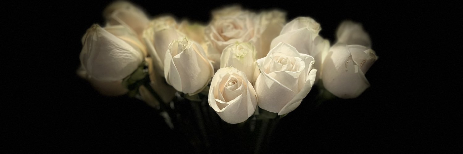 boy_mundo's profile banner image