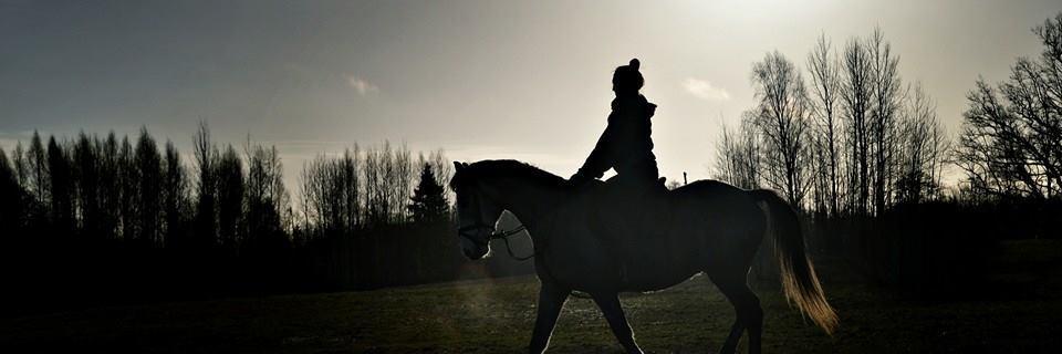 Kate_Petersone's profile banner image
