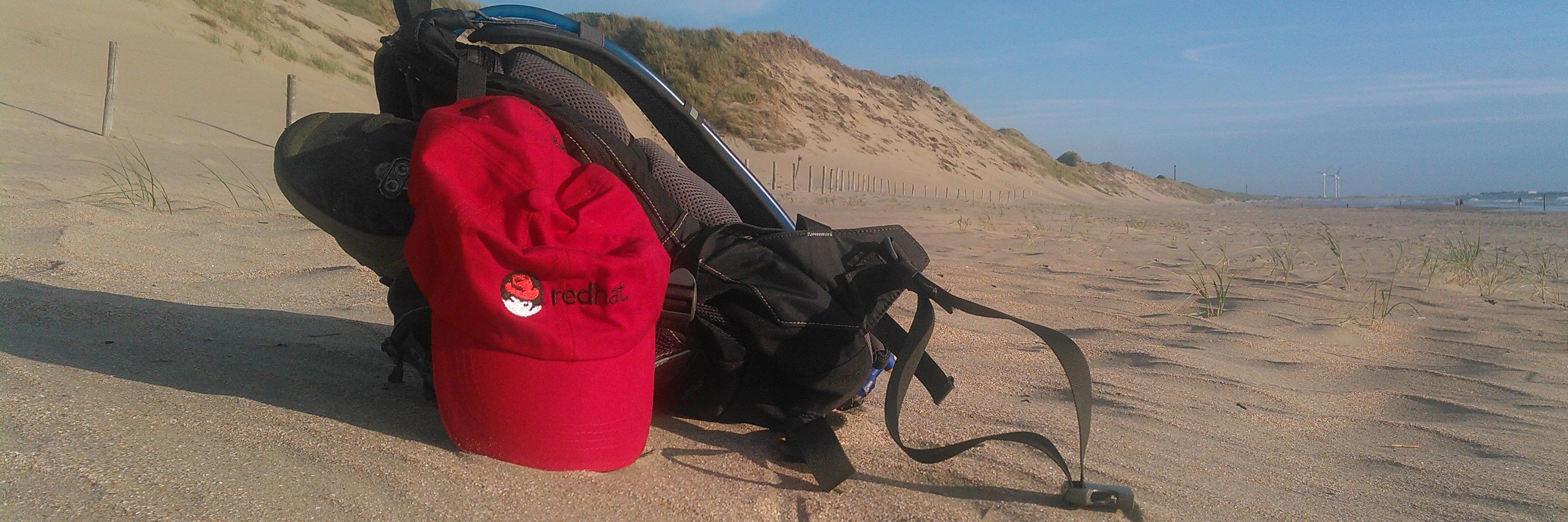 Niels de Vos 🏄🦊 banner