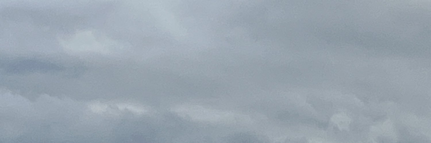 v banner