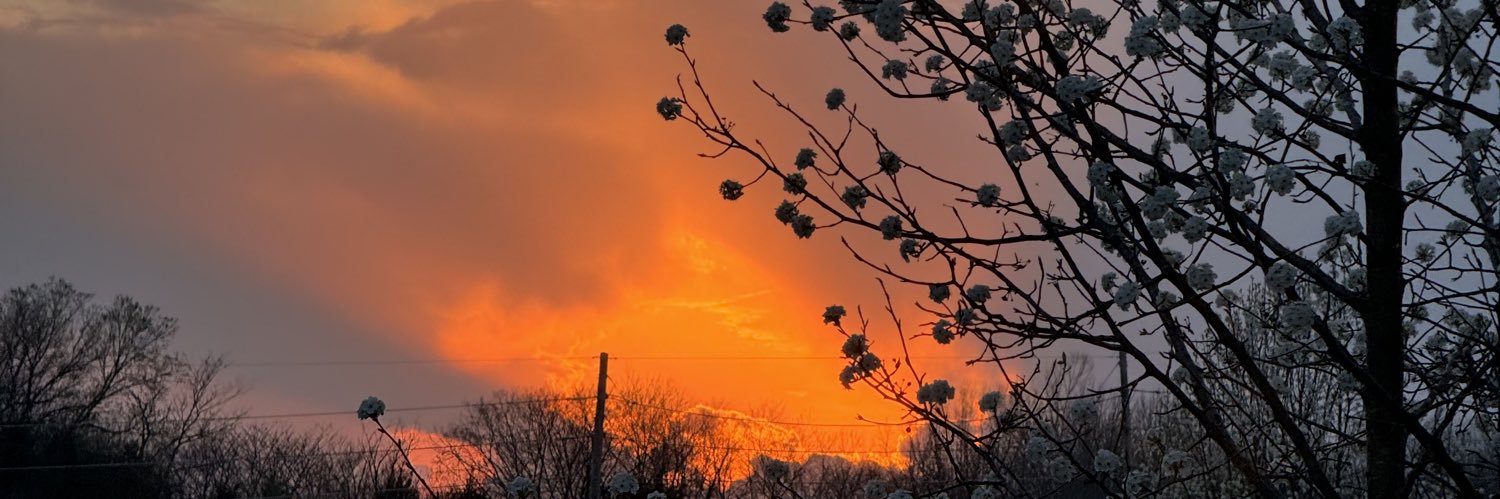 JustinRosche81's profile banner image