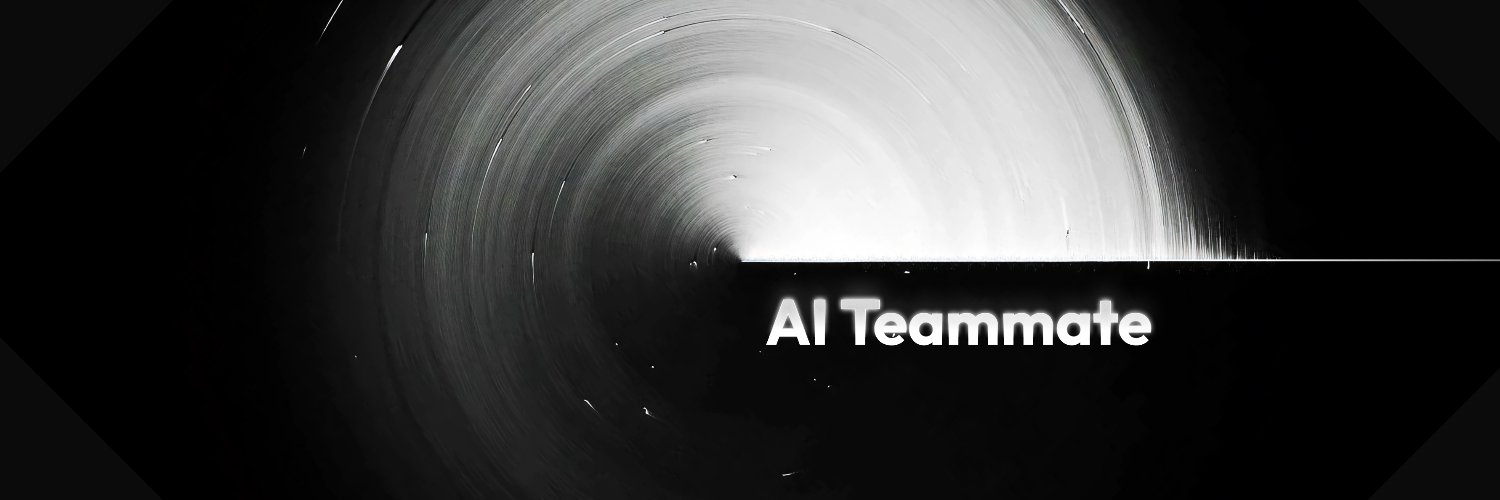 Behrooz Evans banner