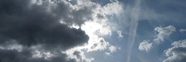 ColineMilliard Profile Banner