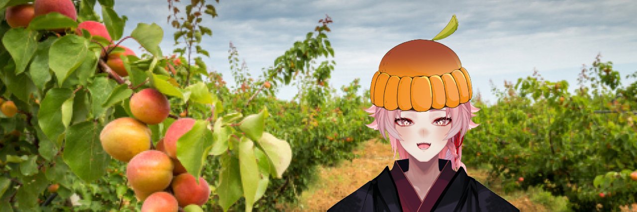 Lolo L'abricot (aka Lolo) banner