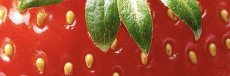 ౨ৎ ˖ biya²⁶ ࣪⊹ banner