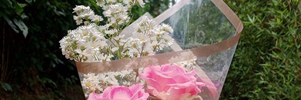 liliumarchive banner