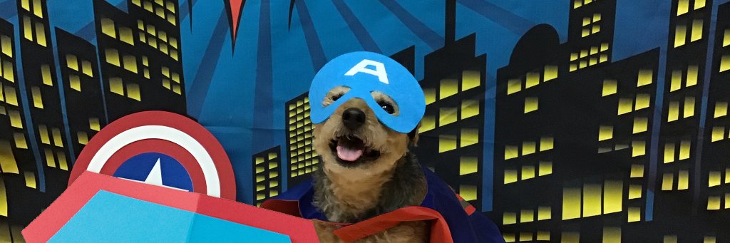 o_whee's profile banner image