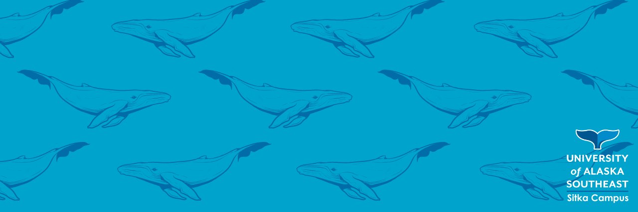 UASSitka's profile banner image