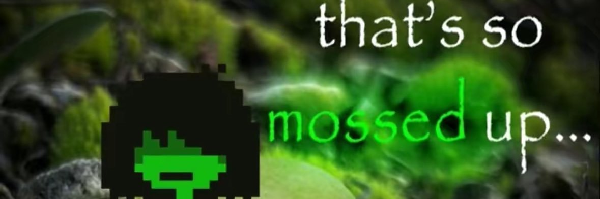 neptwt confessions banner