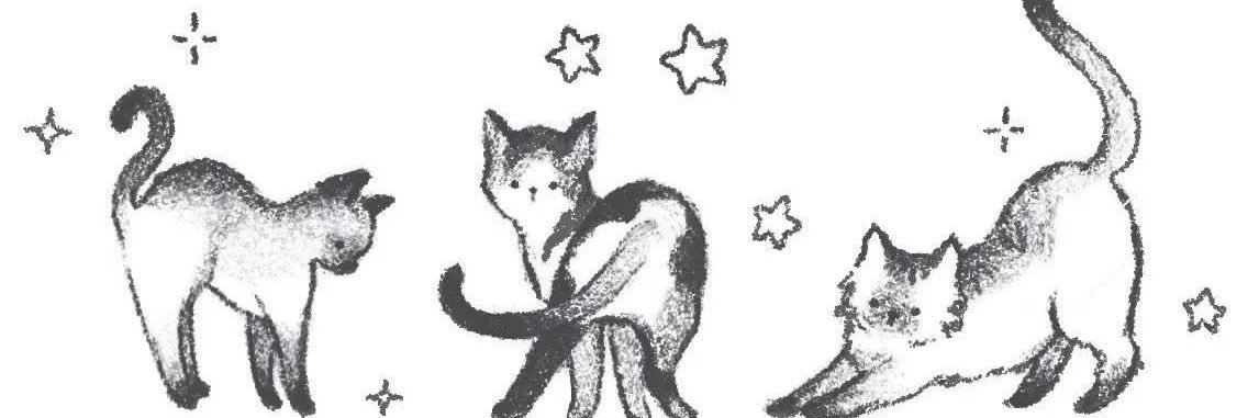 Nika𐙚˚ . ݁ banner