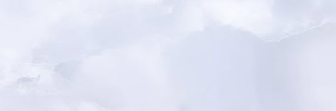 🍑🐈 banner