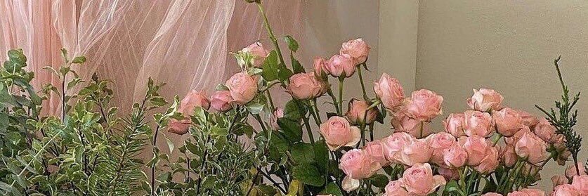 olcia ◞♡˚ banner