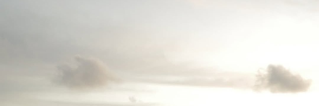 widerfish's profile banner image
