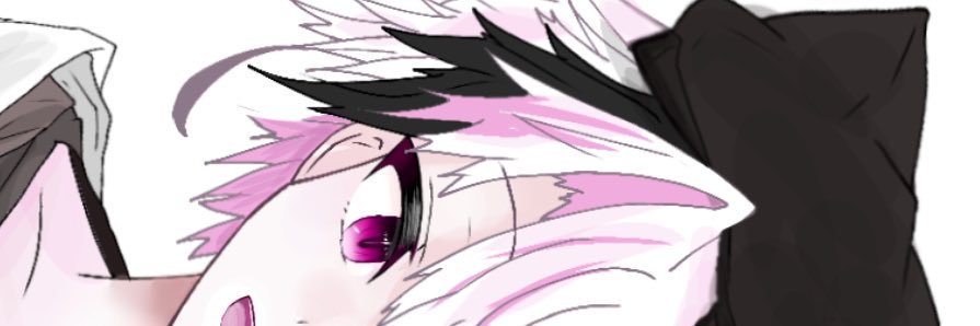 Osushi_096's profile banner image