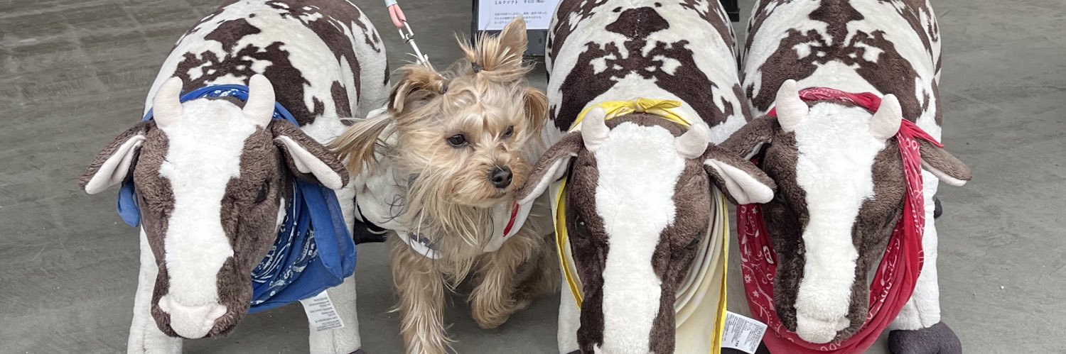 花咲 舞果【+Alpha】 banner