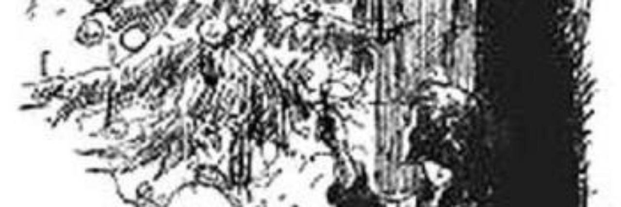 KendallRocksOn's profile banner image