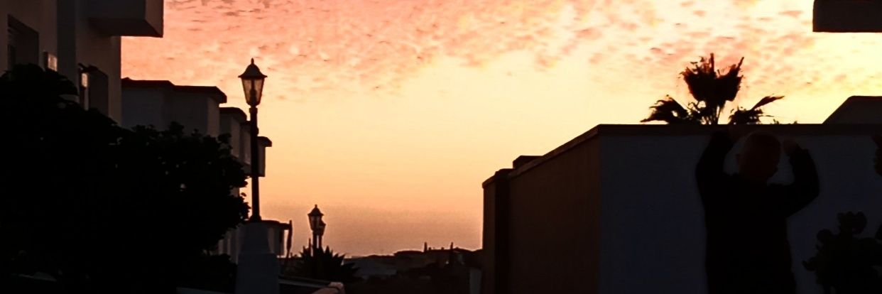 Crello banner