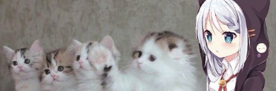 nofq_'s profile banner image
