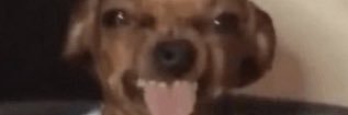 latinj0ck's profile banner image