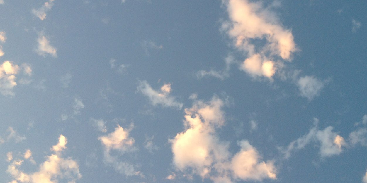 Michelle Bell banner