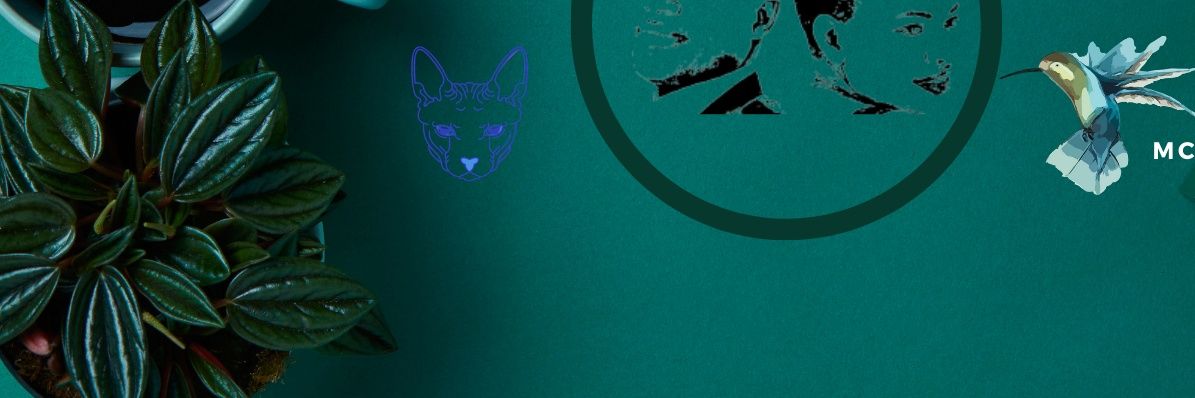 ApstEMEzekiel's profile banner image