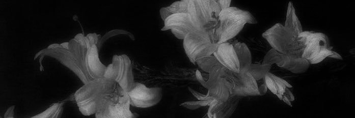 _anawsp's profile banner image