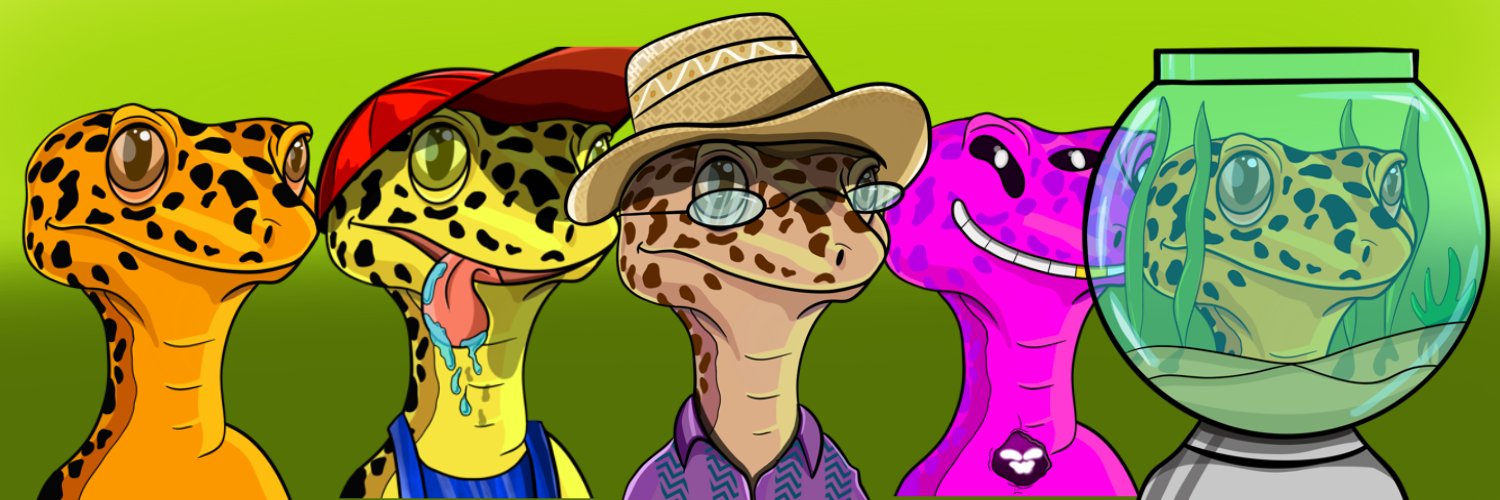 ToothlessGecko Profile Banner