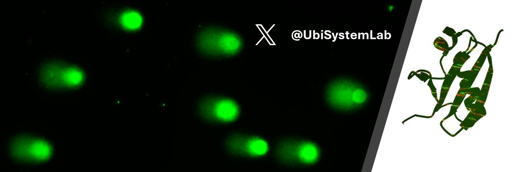 Emilio Lecona's Lab's banner