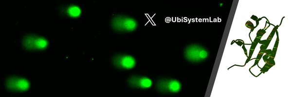 UbiSystemLab Profile Banner