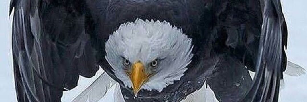 Americanlover69's profile banner image