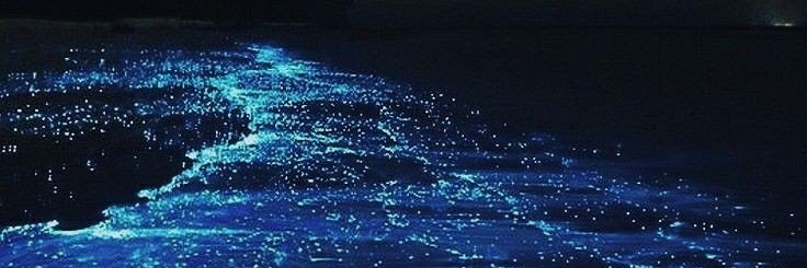 BigbroMingYu's profile banner image