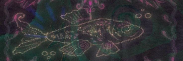 🪲 banner