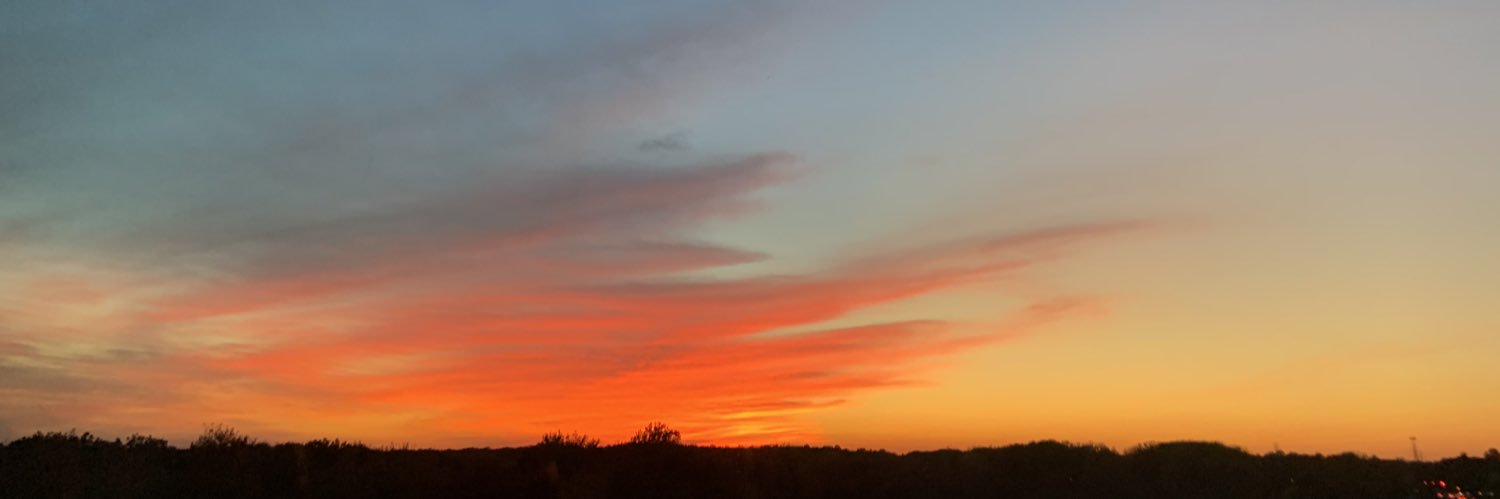 indyybindyy's profile banner image