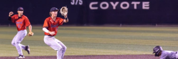 Chandler Fowler banner