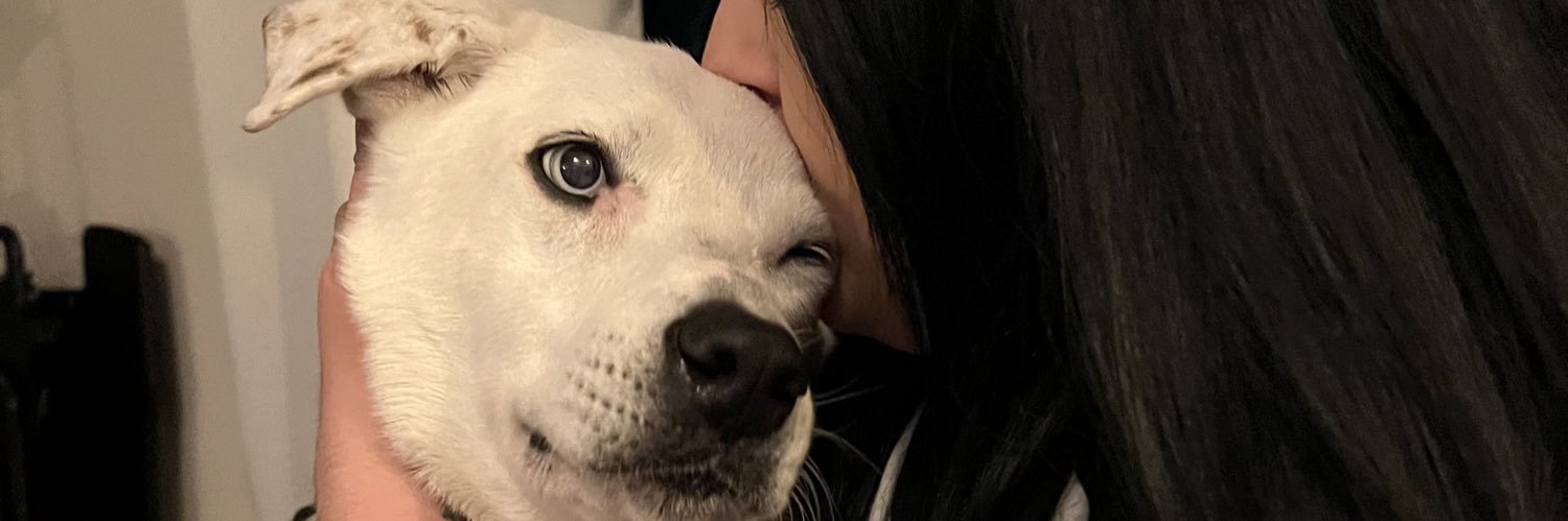 _whereisaly's profile banner image