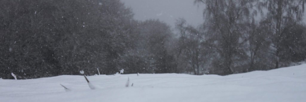 Suttinio's profile banner image