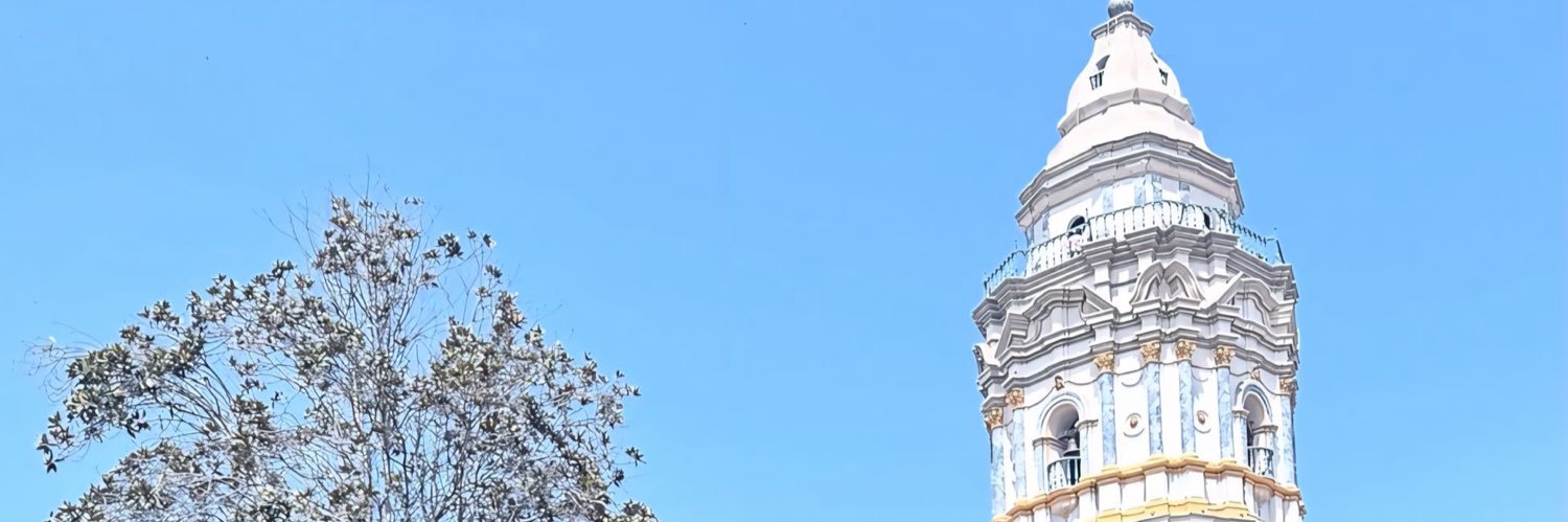 nellapg_'s profile banner image