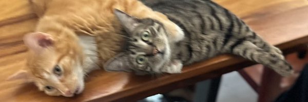 JosephMiztli Profile Banner