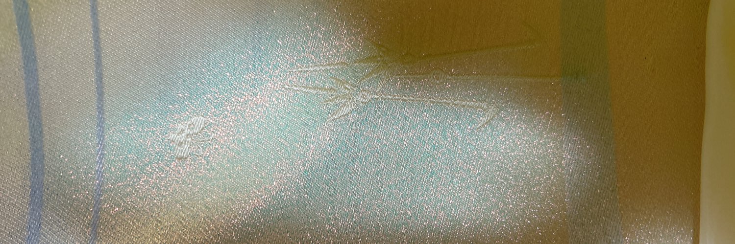 しょうが猫 banner