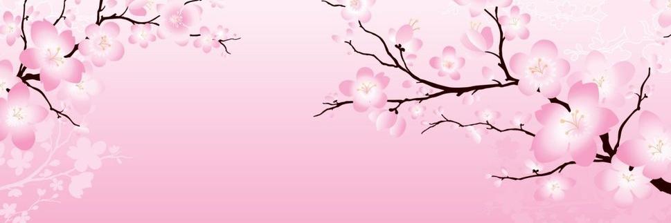 Heyden ★ ★ ★ banner