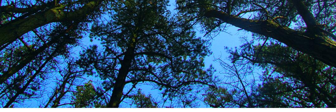 Jessikaway's profile banner image