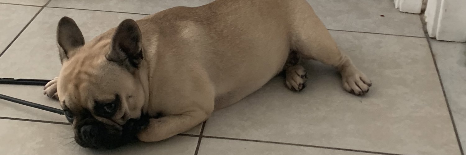 leosim0es's profile banner image