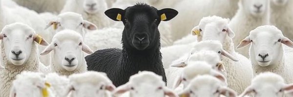 MisterChances Profile Banner