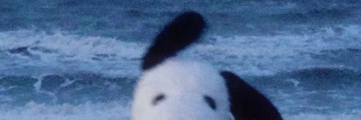 _yukshadow's profile banner image
